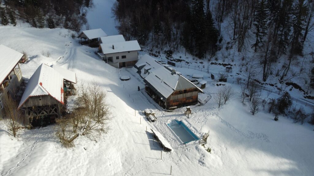 Forest Farmstay in a snowy forest valley